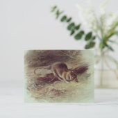 ブラウンラット1918 ポストカード (スタンド正面)