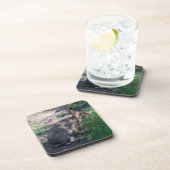 ブラウンラビット、自然で休む コースター (右側)