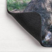 ブラウンラビット、自然で休む マウスパッド (コーナー)