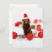 ブラウンラブラドールドッグクリスマスwギフトサンタハット シーズンポストカード (正面/裏面)