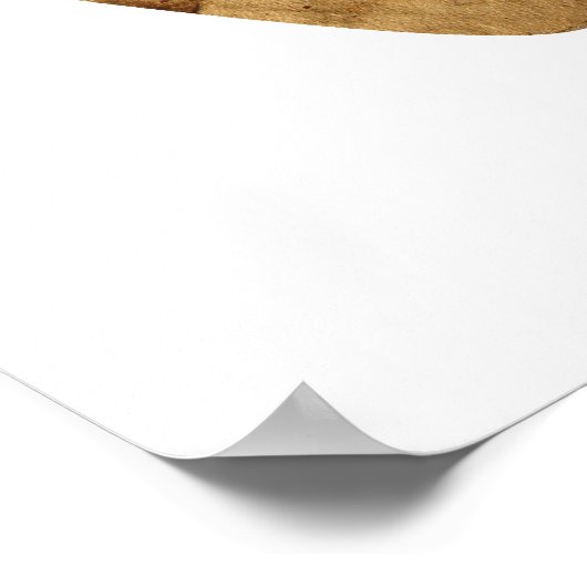 ブラウンリサイクル標識 ポスター (角)