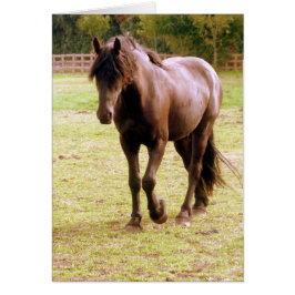 ブラウンリラックスホース歩く