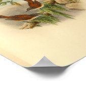 ブラウンルーファスバックグレイゴーバードヴィンテージプリント ポスター (角)