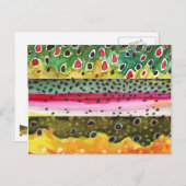 ブラウンレインボーアンドブルックトラウト魚釣り ポストカード (正面/裏面)