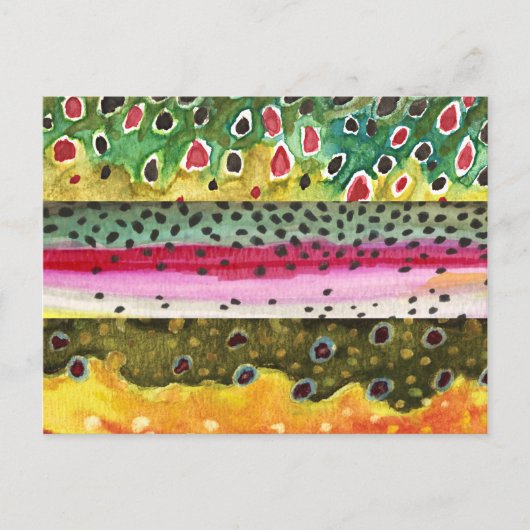 ブラウンレインボーアンドブルックトラウト魚釣り ポストカード (正面)