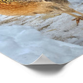 ブラウンレグホンチキン ポスター (角)