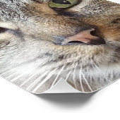 ブラウンロングヘアタブビーキャット フォトプリント            (角)