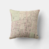 ブラウン大学 クッション (裏面)