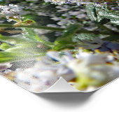 ブラウン山 フォトプリント            (角)