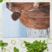 ブラウン牛 キッチンタオル (折り畳み)