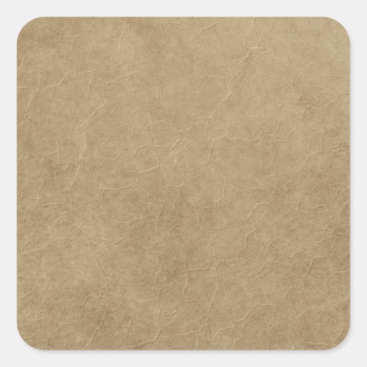 ブラウン紙バッグライクテクトル スクエアシール (正面)