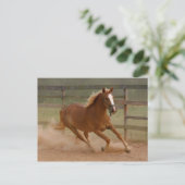 ブラウン美しいはがき ポストカード (スタンド正面)