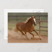 ブラウン美しいはがき ポストカード (正面/裏面)