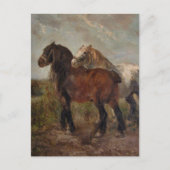 ブラウン荷車を引くベルギー馬ファインアート絵を描: ポストカード (正面)