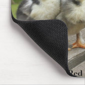 ブラウン赤いMaransのひよこ マウスパッド (コーナー)