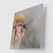 ブラウン雪のサル、写真日本の撮影 スクエア壁時計 (傾斜)