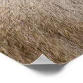 ブラウン雪のサル、写真日本の撮影 ポスター (角)