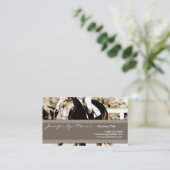 ブラウン·アンド·ホワイト·ショー·ホース 名刺 (スタンド正面)