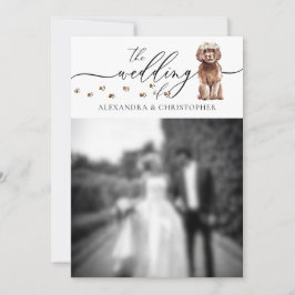 ブラウン・カバプーの子犬の結婚式の写真 招待状