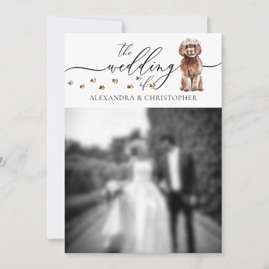 ブラウン・カバプーの子犬の結婚式の写真 招待状 (正面)