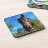 ブラウン&クリームカラーホースブルースカイ コースター (左側)