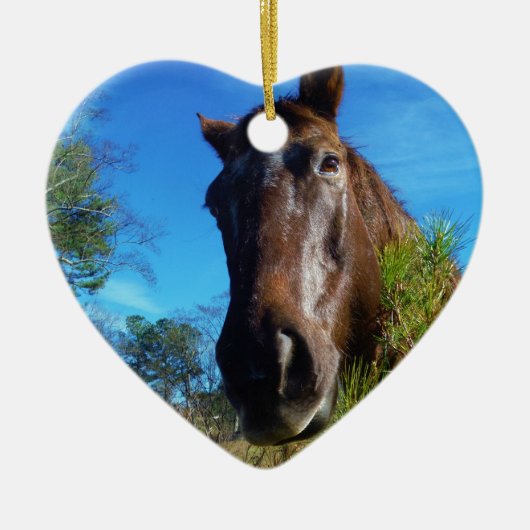 ブラウン&クリームカラーホースブルースカイ セラミックオーナメント (正面)