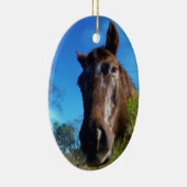 ブラウン&クリームカラーホースブルースカイ セラミックオーナメント (右)