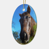 ブラウン&クリームカラーホースブルースカイ セラミックオーナメント (左)