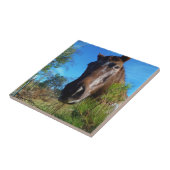 ブラウン&クリームカラーホースブルースカイ タイル (側面)