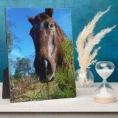 ブラウン&クリームカラーホースブルースカイ フォトプラーク (側面)