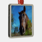 ブラウン&クリームカラーホースブルースカイ メタルオーナメント (右)