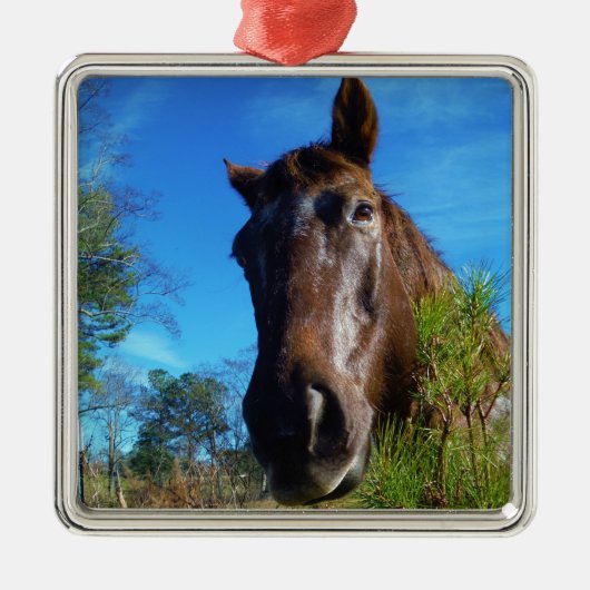 ブラウン&クリームカラーホースブルースカイ メタルオーナメント (正面)