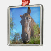 ブラウン&クリームカラーホースブルースカイ メタルオーナメント (左)