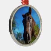 ブラウン&クリームカラーホースブルースカイ メタルオーナメント (右)