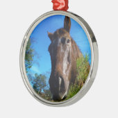 ブラウン&クリームカラーホースブルースカイ メタルオーナメント (左)