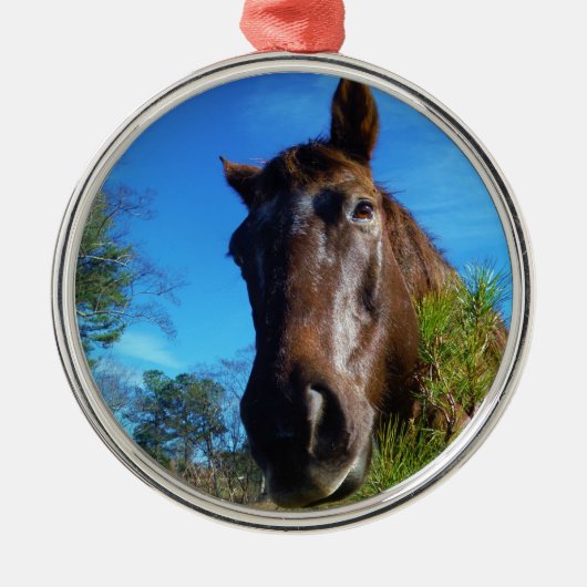 ブラウン&クリームカラーホースブルースカイ メタルオーナメント (正面)
