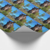 ブラウン&クリームカラーホースブルースカイ ラッピングペーパー (角)