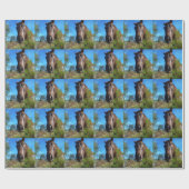 ブラウン&クリームカラーホースブルースカイ ラッピングペーパー (フラット)