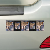 ブラウン・スイスの子牛のバンパーステッカー バンパーステッカー (車上)