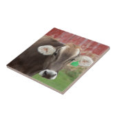 ブラウン・スイス牛 タイル (側面)