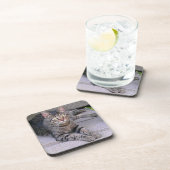 ブラウン·タビー·キャット·アウトドア コースター (右側)