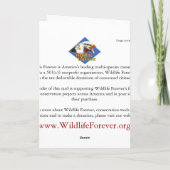 ブラウン・トラウトカード シーズンカード (裏面)