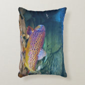 ブラウン・トラウト アクセントクッション (正面(垂直))