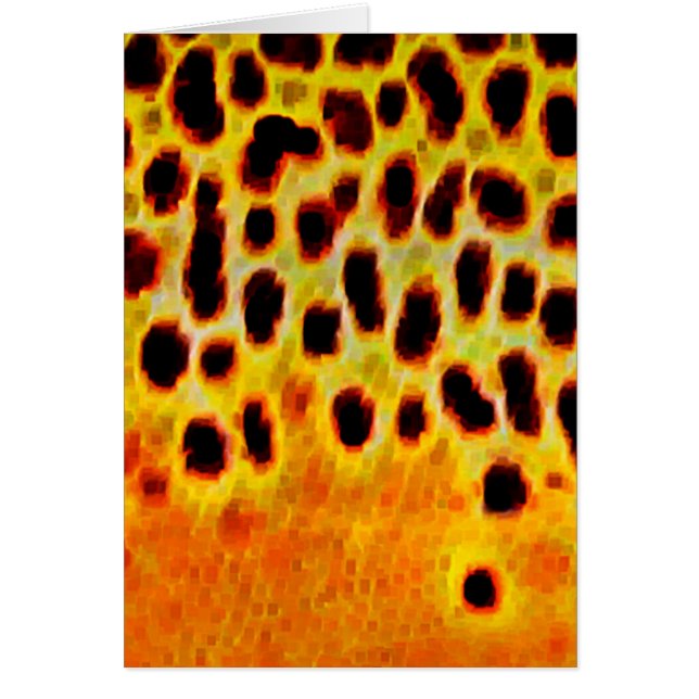 ブラウン・トラウト-カード (正面)