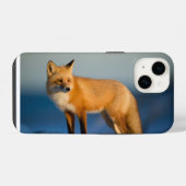 ブラウン・フォックス iPhone 14 カバー (裏面横)