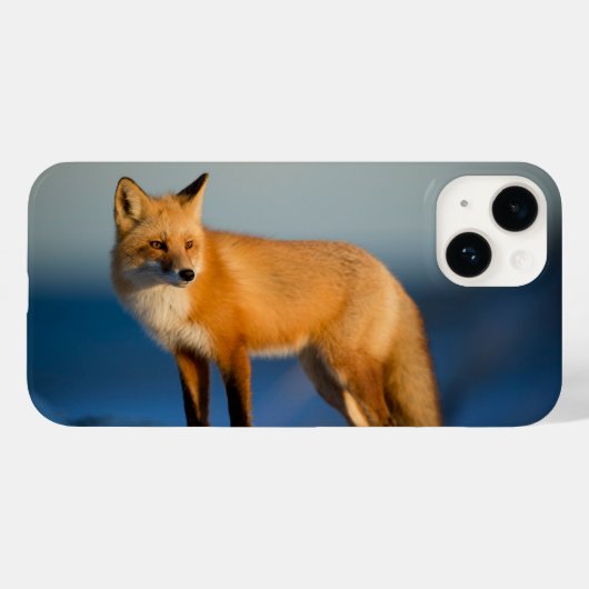 ブラウン・フォックス iPhone 14 カバー (裏面 (横))
