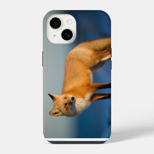 ブラウン・フォックス iPhone 14 カバー (裏面)