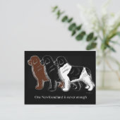 ブラウン・ブラック・アンド・ランズ・ニューファンドランド ポストカード (スタンド正面)