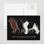 ブラウン・ブラック・アンド・ランズ・ニューファンドランド ポストカード (正面/裏面)
