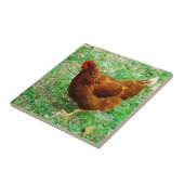 ブラウン・ヘン タイル (側面)